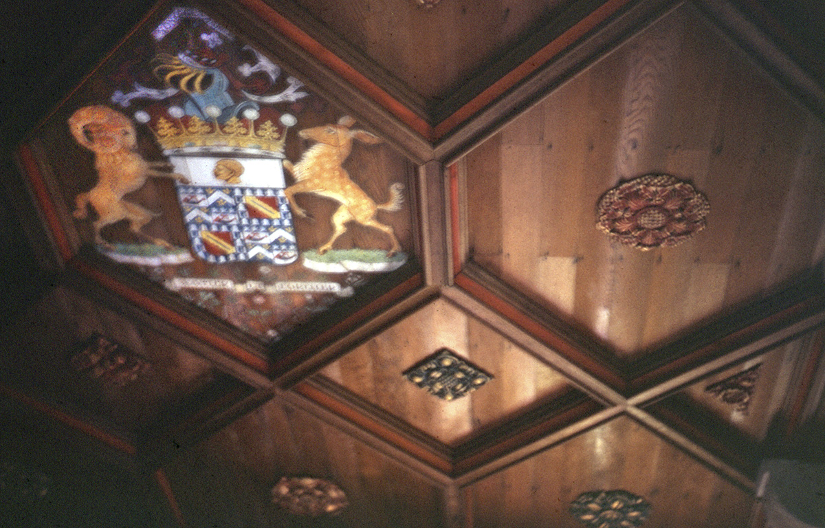 Fatlips Ceiling 1970s